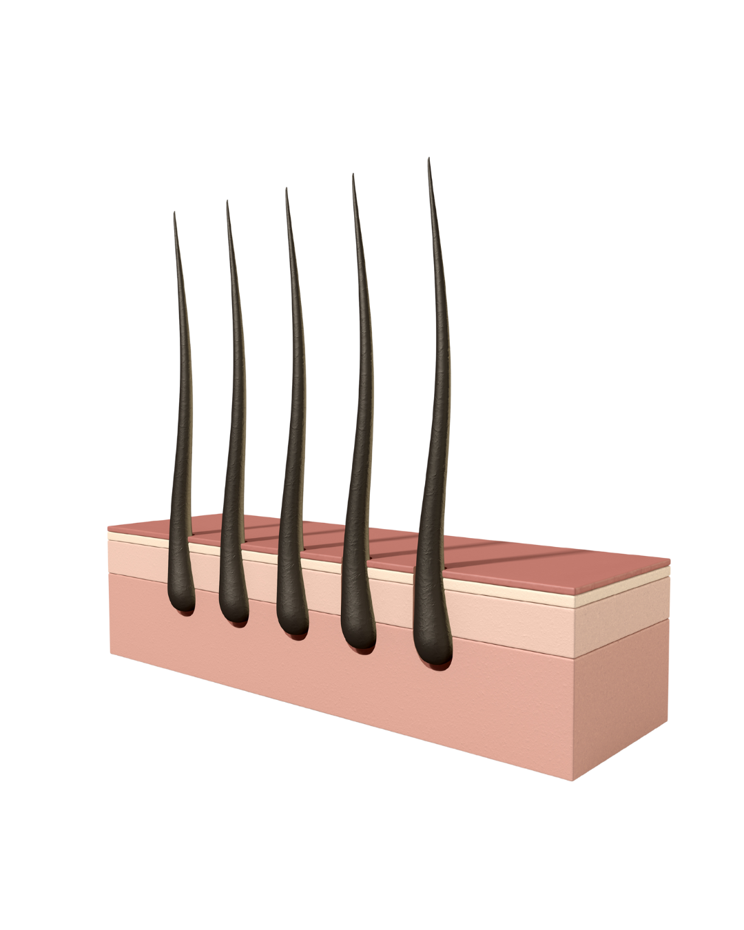 Tratamientos personalizados que maximizan tus resultados​